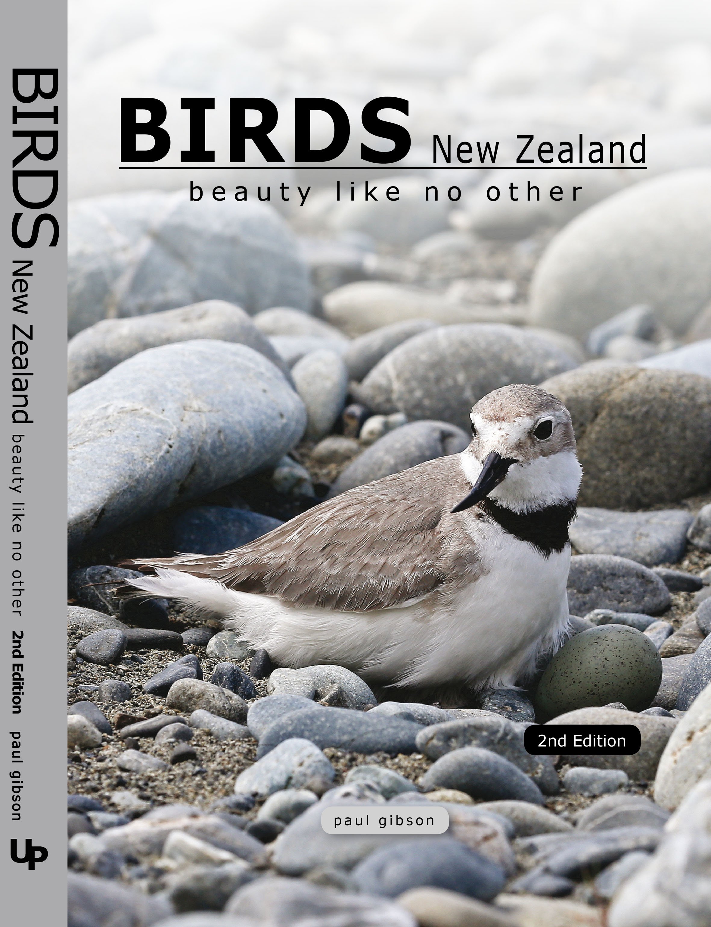 BIRDS NEW ZEALAND