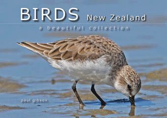 Birds-New-Zealand.gif